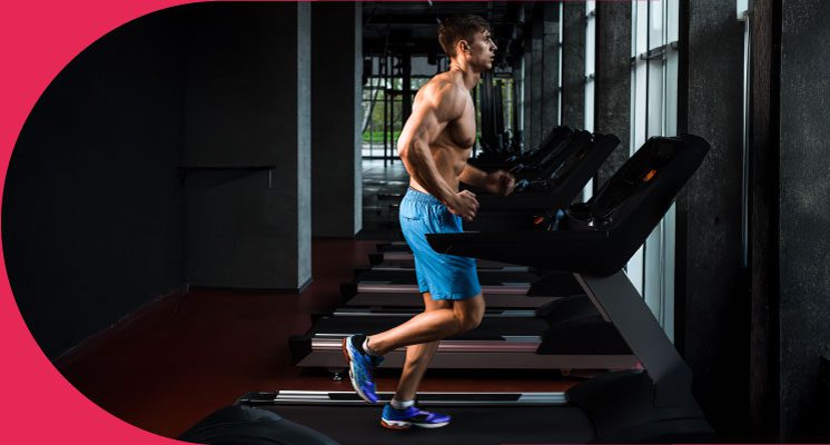 menu-fisiologiahumana-manz2026